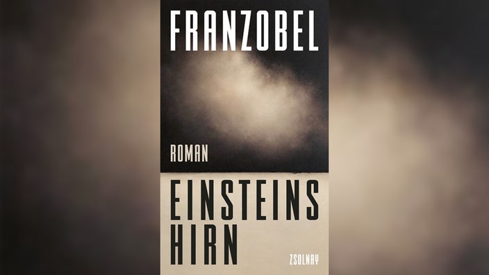 Franzobel, Einsteins Hirn