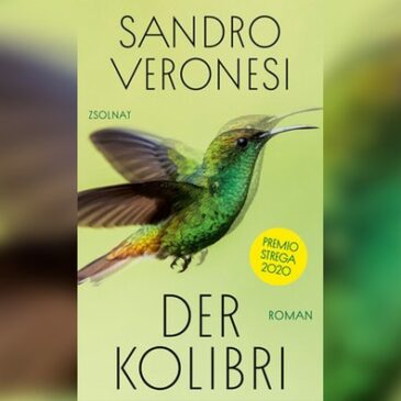 Sandro Veronesi, Der Kolibri